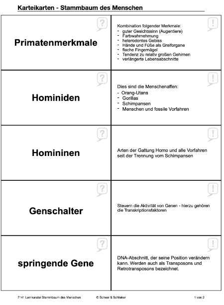 Evolution des Menschen (226 MB)