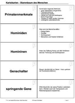 Stammbaum des Menschen (165 MB)