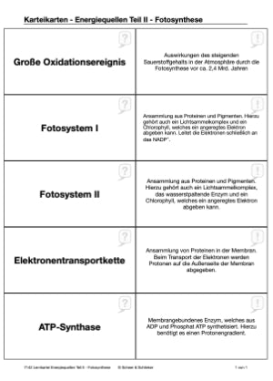 Fotosynthese