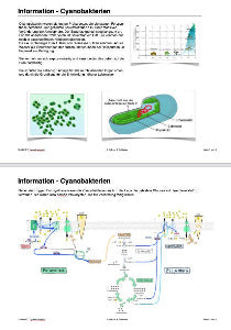 Fotosynthese und Zellatmung - Energiequellen Teil 2 - komplett (Einzellizenz)