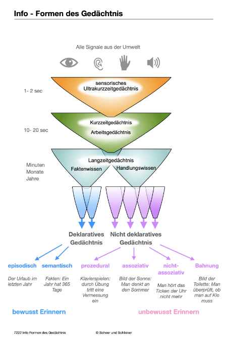 Evolution des Menschen (226 MB)