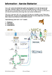 Fotosynthese und Zellatmung - Energiequellen Teil 2 - komplett (Einzellizenz)