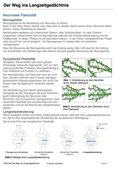 Evolution des Menschen (226 MB)