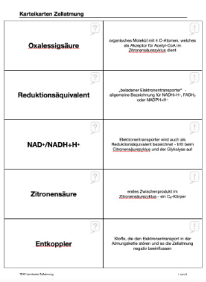 Zellatmung (45 MB)