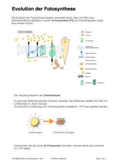 Fotosynthese und Zellatmung - Energiequellen Teil 2 - komplett (Einzellizenz)