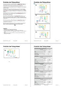 Fotosynthese und Zellatmung - Energiequellen Teil 2 - komplett (Einzellizenz)