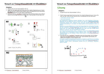 Fotosynthese und Zellatmung - Energiequellen Teil 2 - komplett (Einzellizenz)