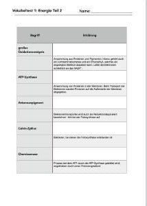 Fotosynthese und Zellatmung - Energiequellen Teil 2 - komplett (Einzellizenz)