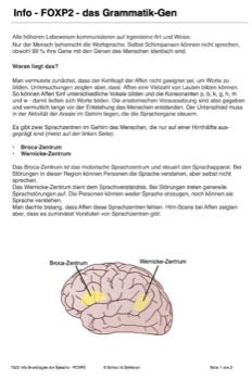 Kulturelle Evolution - ökologische Nische des Menschen (64 MB)