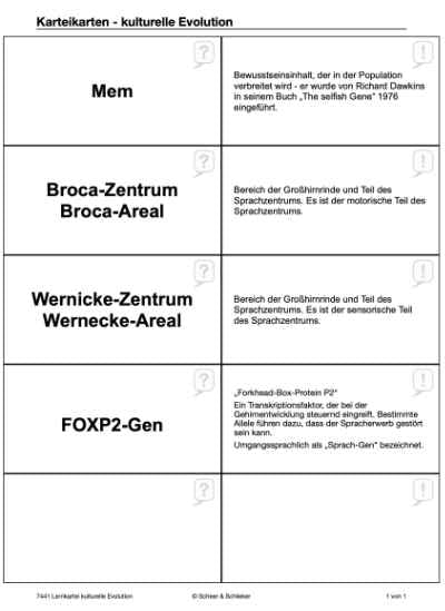 Evolution des Menschen (226 MB)