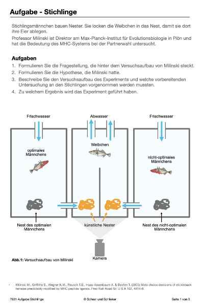 Evolution des Menschen (226 MB)