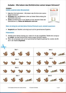 Evolution - komplett: Jahrgang 7 - 10 (600 MB)