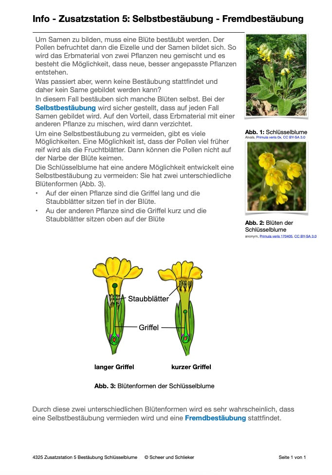 Botanik: Bestäubung und Befruchtung - Stationsarbeit (131 MB)