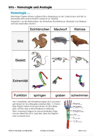 Stammbäume: Jahrgang 7 - 10 (160 MB)