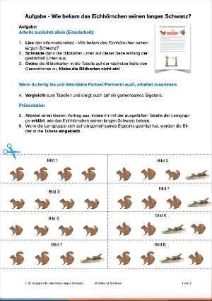 Darwins Evolutionstheorie: Jahrgang 7- 10 (236 MB)