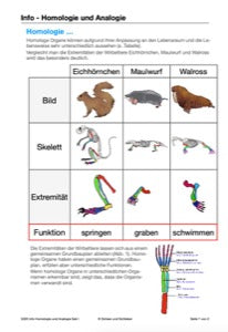 Evolution - komplett: Jahrgang 7 - 10 (600 MB)