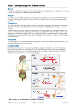 Nährstoffe und Verdauung 5. und 6. Jahrgang (84 MB)