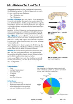 Hormonsystem Jahrgang 7 bis 10 (24 MB)