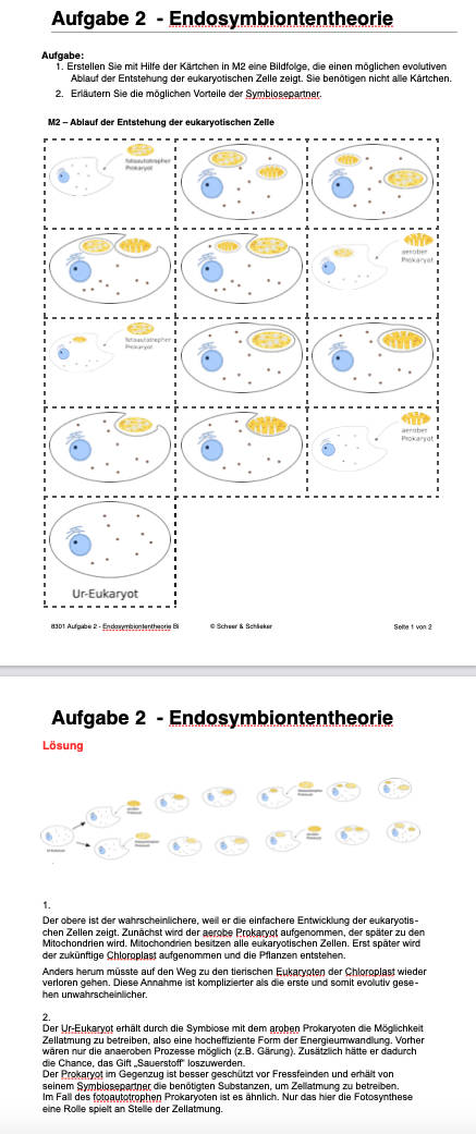 Eukaryoten (Einzellizenz) 130 MB