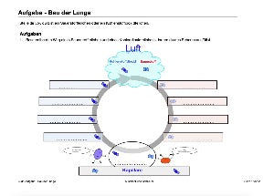 Stoffwechsel Jahrgang 5 und 6 (35 MB)