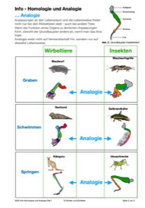 Evolution - komplett: Jahrgang 7 - 10 (600 MB)