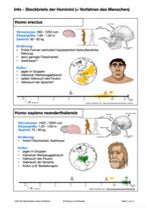 Evolution - komplett: Jahrgang 7 - 10 (600 MB)