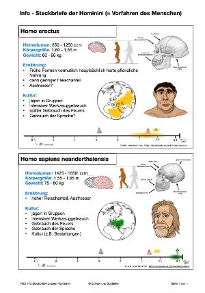 Evolution des Menschen: Jahrgang 7 - 10 (123 MB)