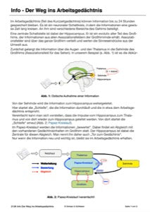 Nervensystem, Lernen und Gedächtnis: Jahrgang 7 - 10 (56 MB)