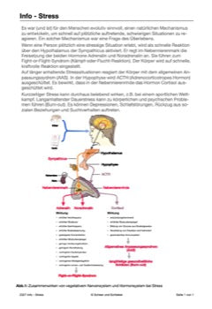 Hormonsystem Jahrgang 7 bis 10 (24 MB)