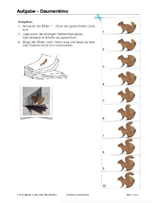 Darwins Evolutionstheorie: Jahrgang 7- 10 (236 MB)