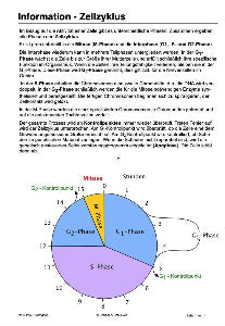 Wachstum - komplett (Einzellizenz)