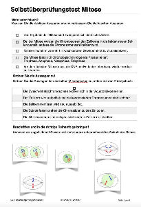 Wachstum - komplett (Einzellizenz)