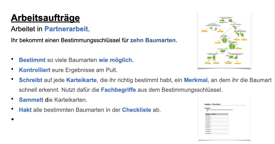 Botanik: Bestimmungsübungen (42 MB)