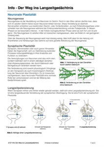 Nervensystem, Lernen und Gedächtnis: Jahrgang 7 - 10 (56 MB)