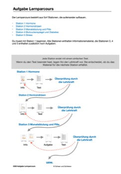 Hormonsystem Jahrgang 7 bis 10 (24 MB)