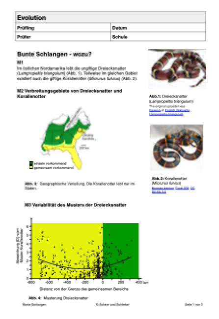 Evolution - Bunte Schlangen - wozu?