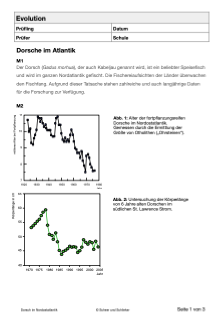 Evolution - Dorsche im Nordatlantik