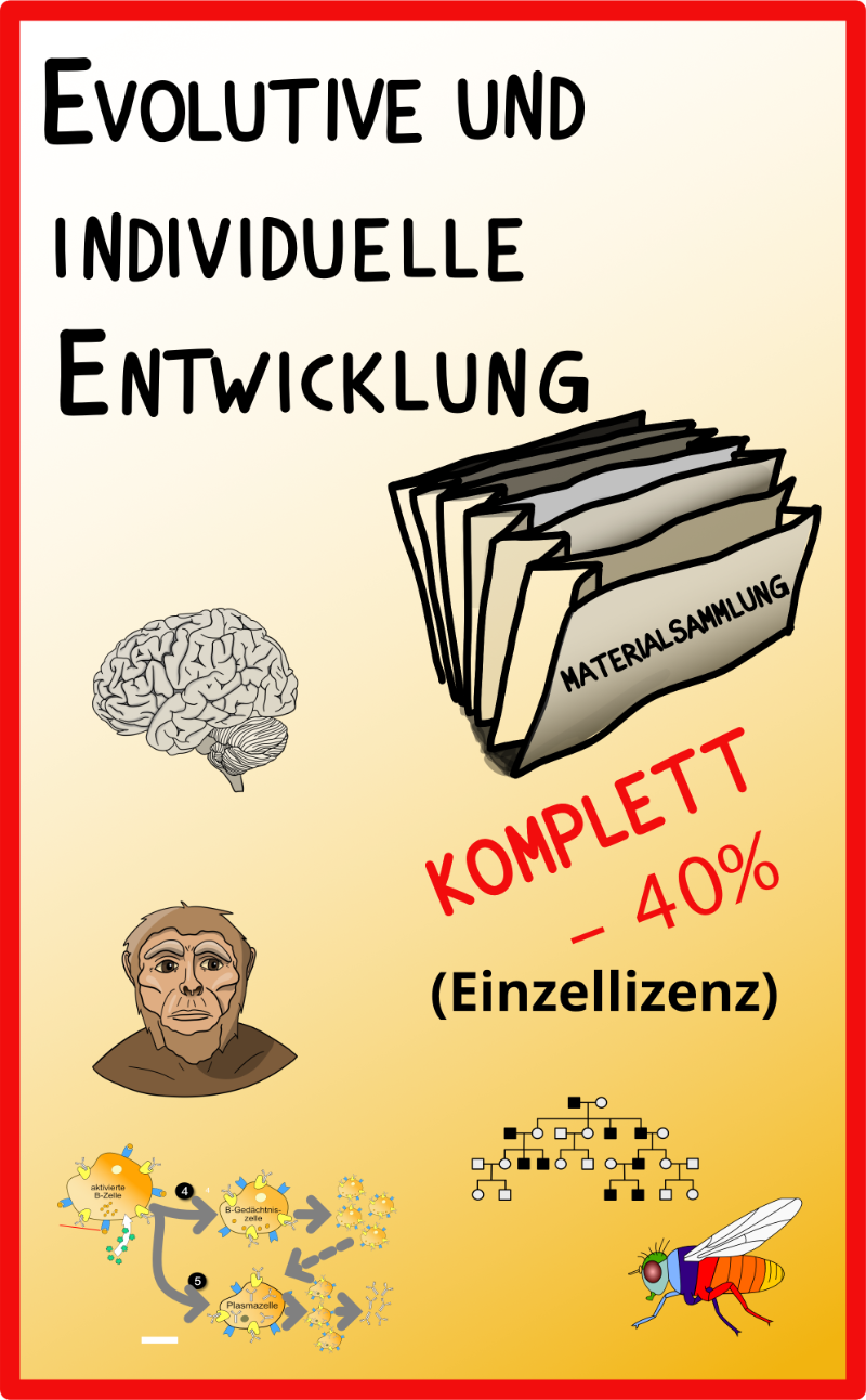 #Evolutive und individuelle Entwicklung (Einzellizzenz 1,15 GB)