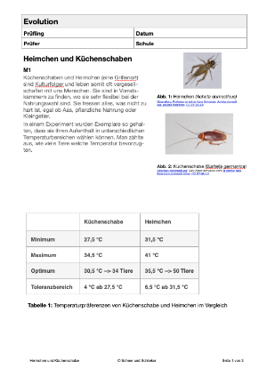 Ökologie - Heimchen und Küchenschaben