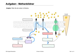 Chemosynthese (188 MB)