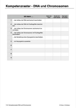 DNA und Chromosomen (4 MB)