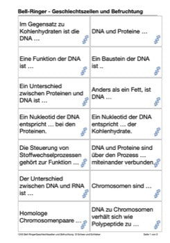 DNA und Chromosomen (4 MB)