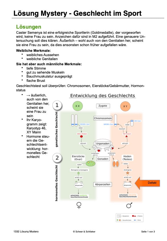 Ausbildung des Geschlechts: weiblich-divers-männlich (43 MB)