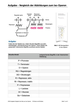 Genregulation (34 MB)