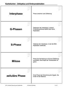 Zellzyklus und Embryonalstadien (156 MB)