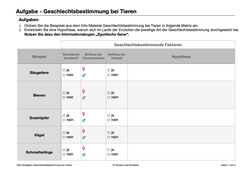 Ausbildung des Geschlechts: weiblich-divers-männlich (43 MB)