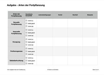 Sexualität und Angepassteheit (48 MB)