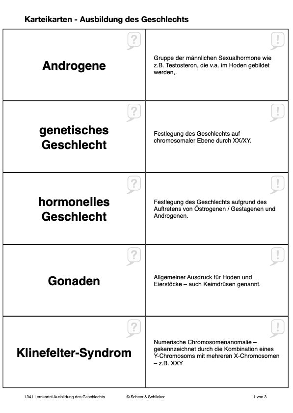 Ausbildung des Geschlechts: weiblich-divers-männlich (43 MB)