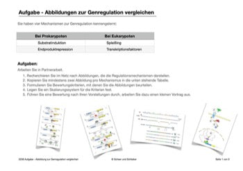 Genregulation (34 MB)