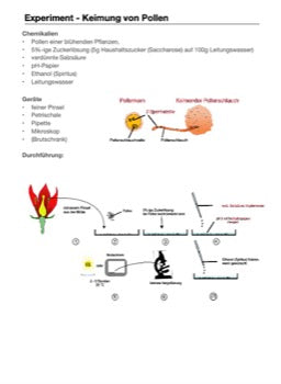 Sexualität und Angepassheit - Botanik, Jahrgang 5 und 6 (6 MB)